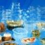 Contenitori per Alimenti