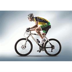 Bike e Fitness D'Adam