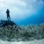 Ocean Film Festival Italia
