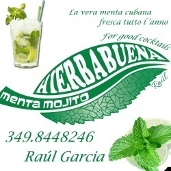 Hierbabuena Menta Mojito
