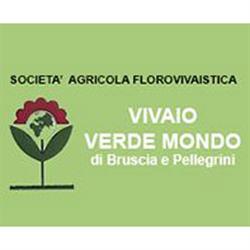 Vivaio Verde Mondo