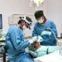 Intervento Dentistico