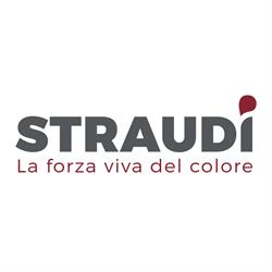 Bricocenter Straudi