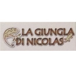 La Giungla di Nicolas