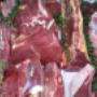 Carni Fresche