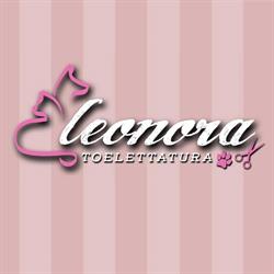 Eleonora Toelettatura