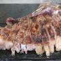 Carne