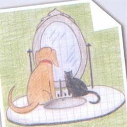 La Toletta - Toelettatura Animali