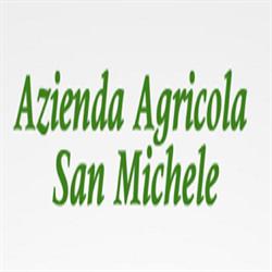 Azienda Agricola San Michele - Frantoio Tradizionale a Freddo