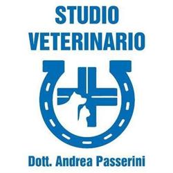Passerini Dr. Andrea