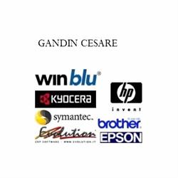 Gandin Cesare Soluzioni Informatiche