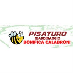 Pisaturo Giardinaggio e Bonifica Calabroni