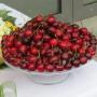 Frutta e Verdura a Km Zero