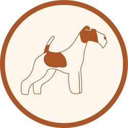 Toelettatura Beauty Pet Saloon