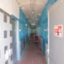 Veterinario
