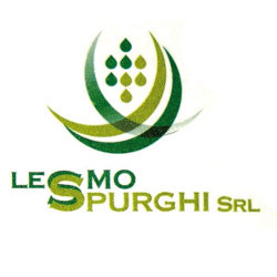 Lesmo Spurghi