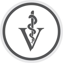 Clinica Veterinaria