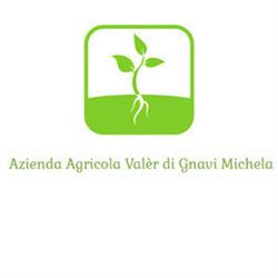 Azienda Agricola Valèr