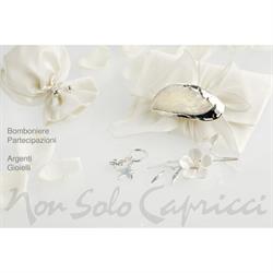 Non Solo Capricci
