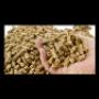 Pellet di Faggio