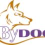 Centro Cinofilo Asd By Dog