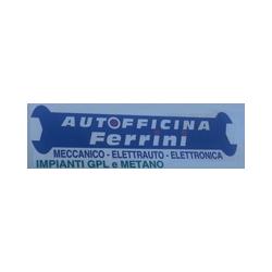 Autofficina Ferrini s.n.c. di Luigi Giancarlo Raspanti Luca Ferrini