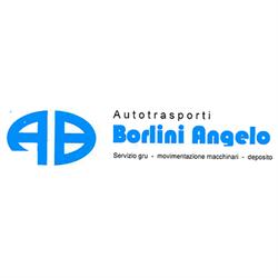 Autotrasporti con Gru Borlini