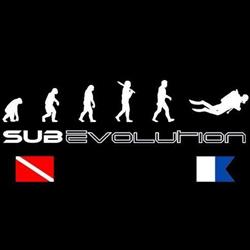 Sub Evolution