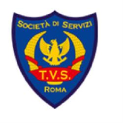 TV Services Vigilanza
