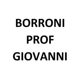 Borroni Prof. Giovanni