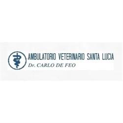 Clinica Veterinaria Santa Lucia