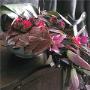 Fiori