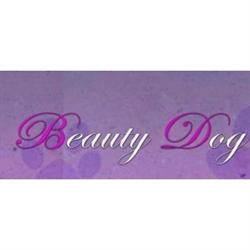 Beauty Dog