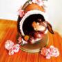 Lely'S Cake