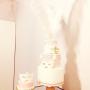 Lely'S Cake