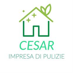 Impresa di Pulizia Cesar