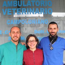 Ambulatorio Veterinario Campoloniano