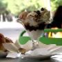 Gelati