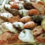 Pesce