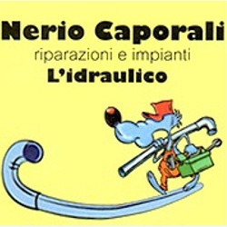 Ditta Termoidraulica Nerio Caporali