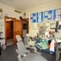 Studio Interdisciplinare