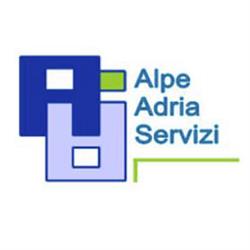 Alpe Adria Imprese Paghe, Consulenza
