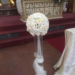 Il Petalo Fiori e Piante