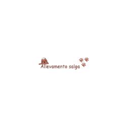Allevamento Salga
