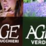 Copertina Pgcasa