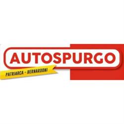 Autospurgo Patriarca