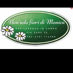 Fiori e Piante Anna e Monica