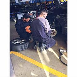 Mms Group Longo Gomme Srls