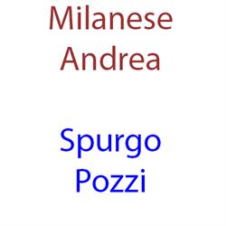 Autospurgo Milanese