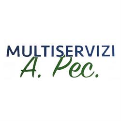 Multiservizi A.Pec
